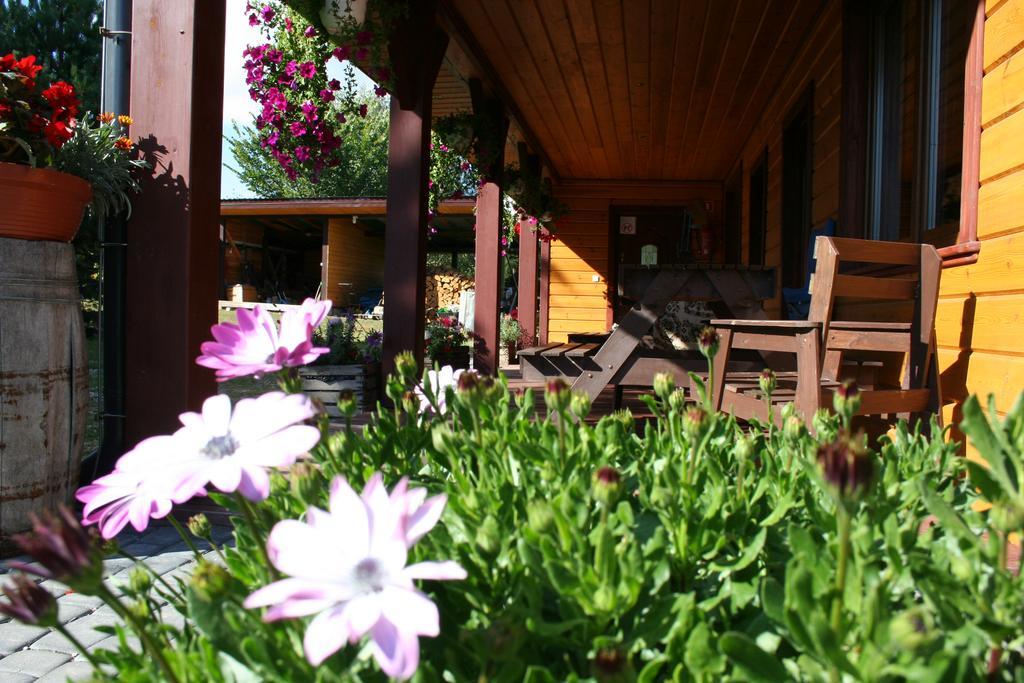 Farmstay Marianowka U Tesi Giby Exterior photo